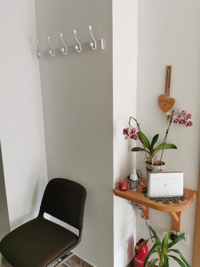 Apartman I Soba Hadela Sveti Martin Na Muri Luaran gambar