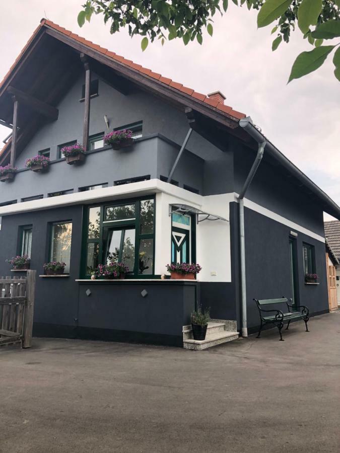 Apartman I Soba Hadela Sveti Martin Na Muri Luaran gambar